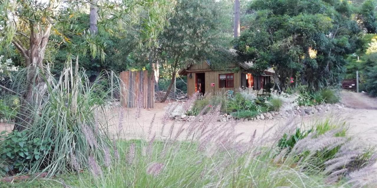 Las Chozas Пунта-дель-Эсте Номер фото